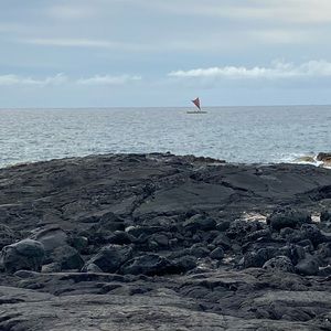 Meet your Posher, Bella